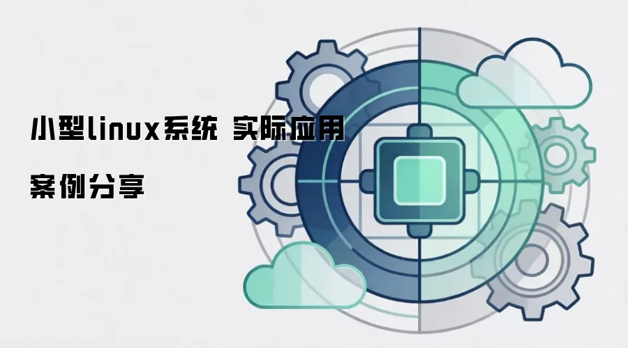 小型linux系统 实际应用案例分享