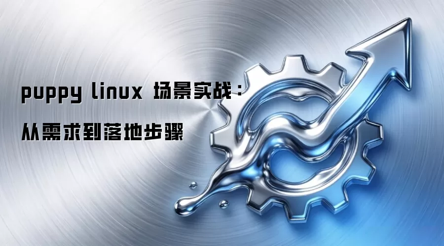 puppy linux 场景实战：从需求到落地步骤