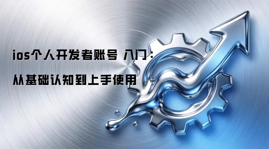 ios个人开发者账号 入门:从基础认知到上手使用