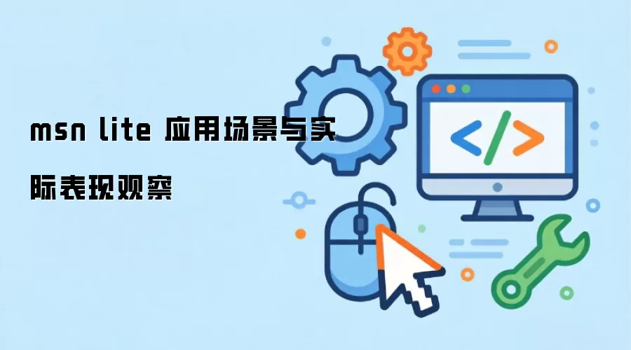 msn lite 应用场景与实际表现观察