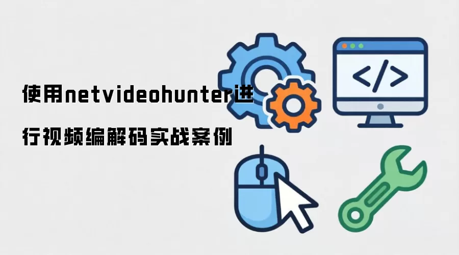 使用netvideohunter进行视频编解码实战案例