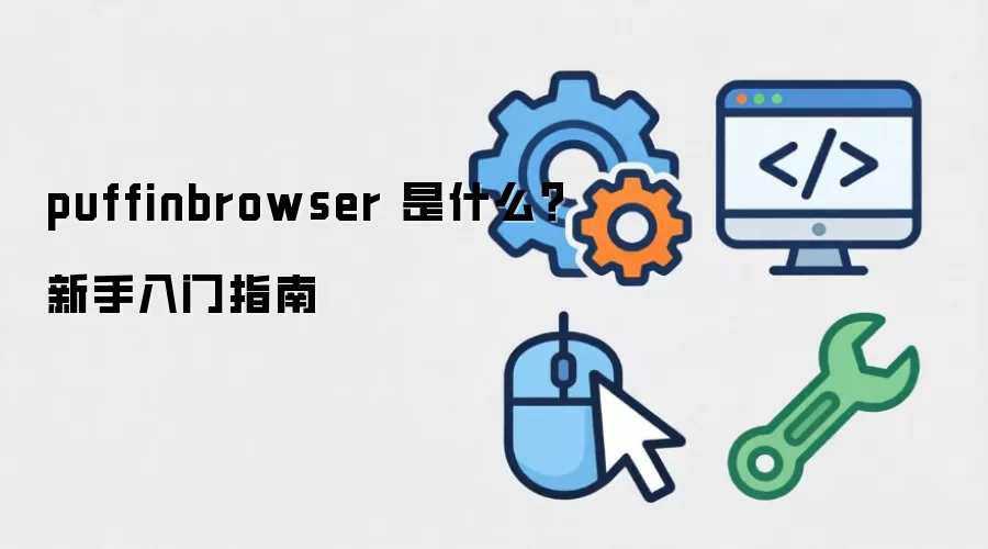 puffinbrowser 是什么？新手入门指南