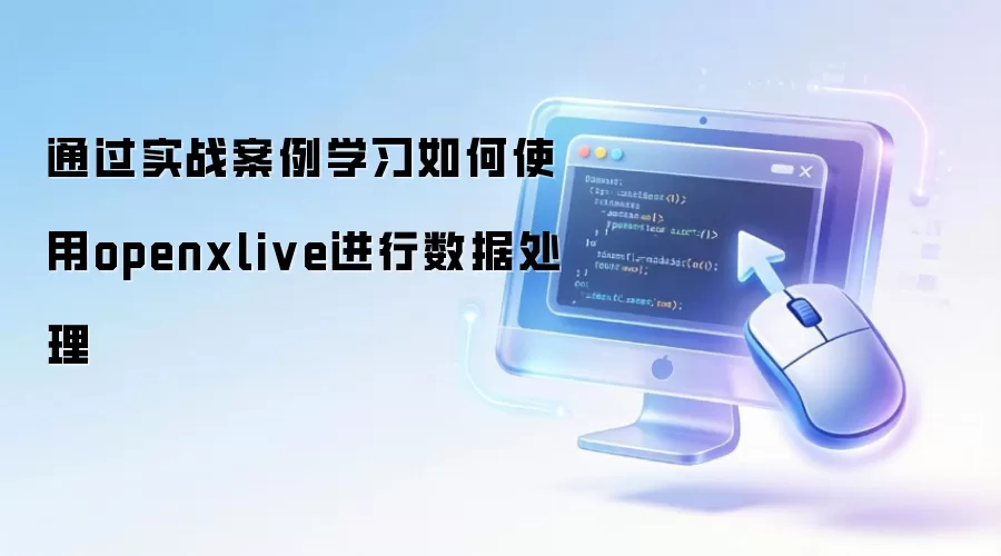 通过实战案例学习如何使用openxlive进行数据处理