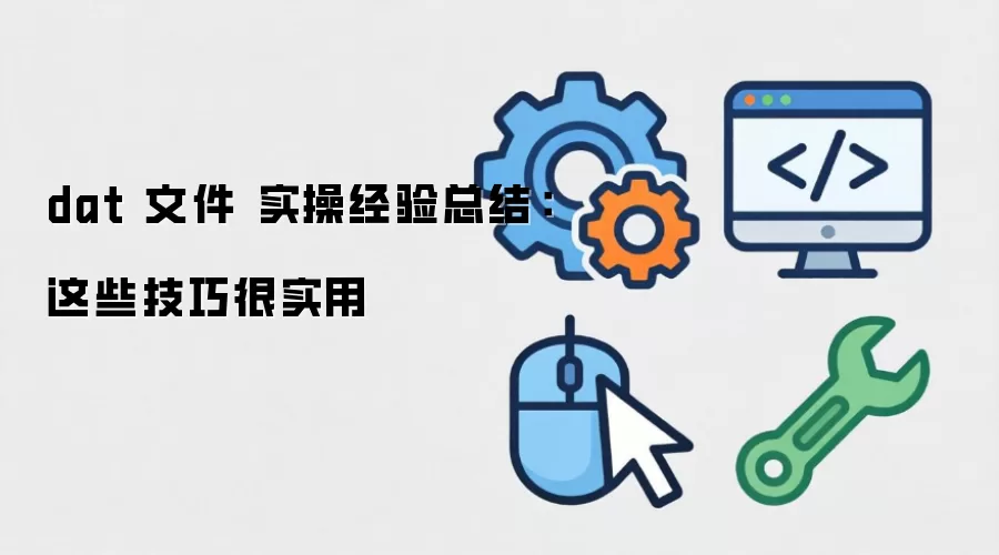 dat 文件 实操经验总结:这些技巧很实用