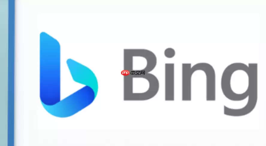 bing国际版轻便网页入口 bing国际版网页浏览器便捷在线