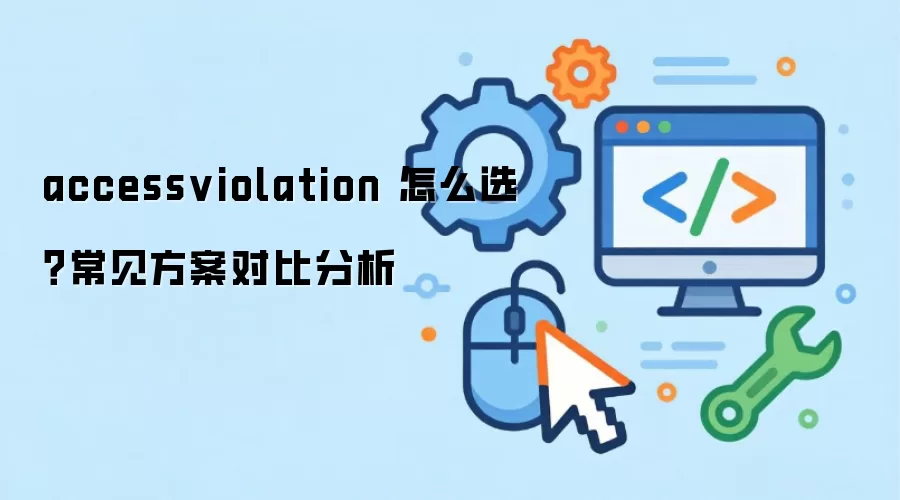 accessviolation 怎么选?常见方案对比分析