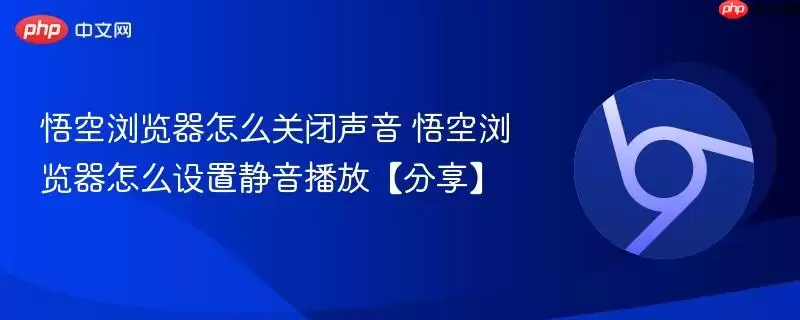 悟空浏览器静音操作示意图