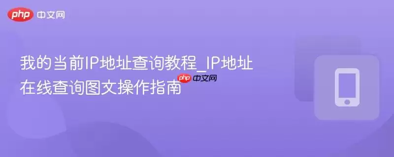 IP地址查询方法概览图示
