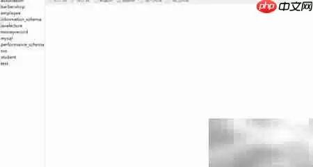 Na vicat可视化管理MySQL