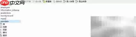 Na vicat可视化管理MySQL