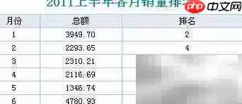 报表软件排名设置技巧