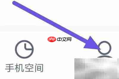 2345清理王应用伪装设置方法_果粉控