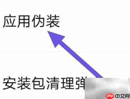 2345清理王应用伪装设置方法