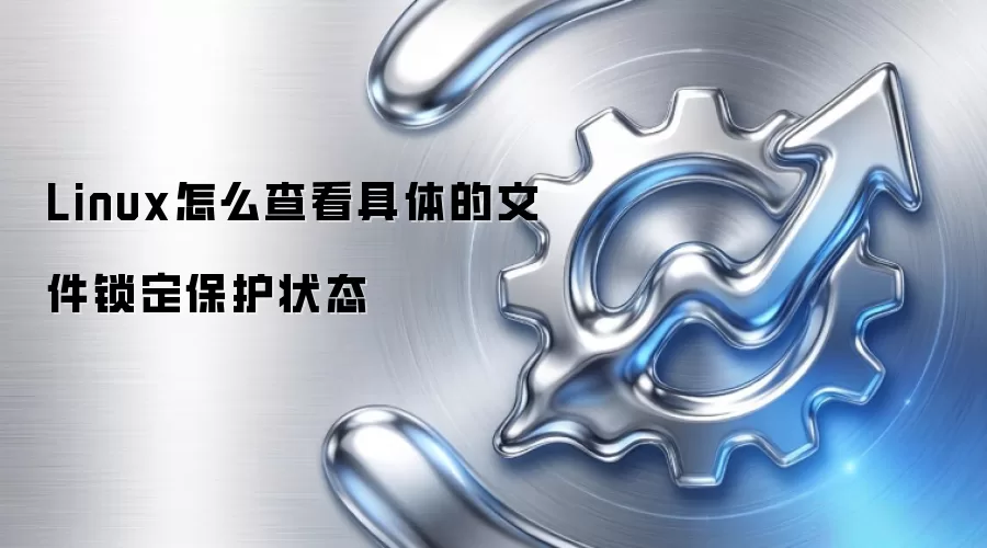Linux怎么查看具体的文件锁定保护状态