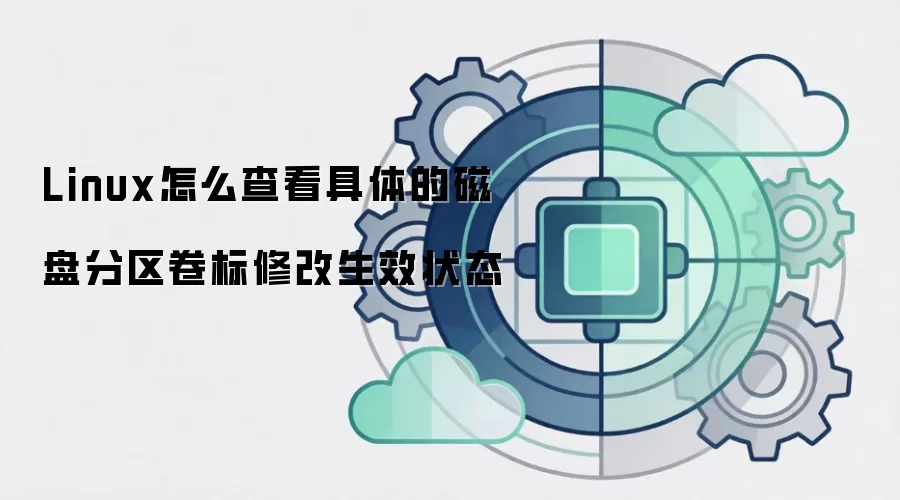 Linux怎么查看具体的磁盘分区卷标修改生效状态