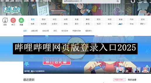 哔哩哔哩大会员专属通道