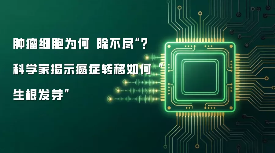 肿瘤细胞为何“除不尽”？科学家揭示癌症转移如何“生根发芽”