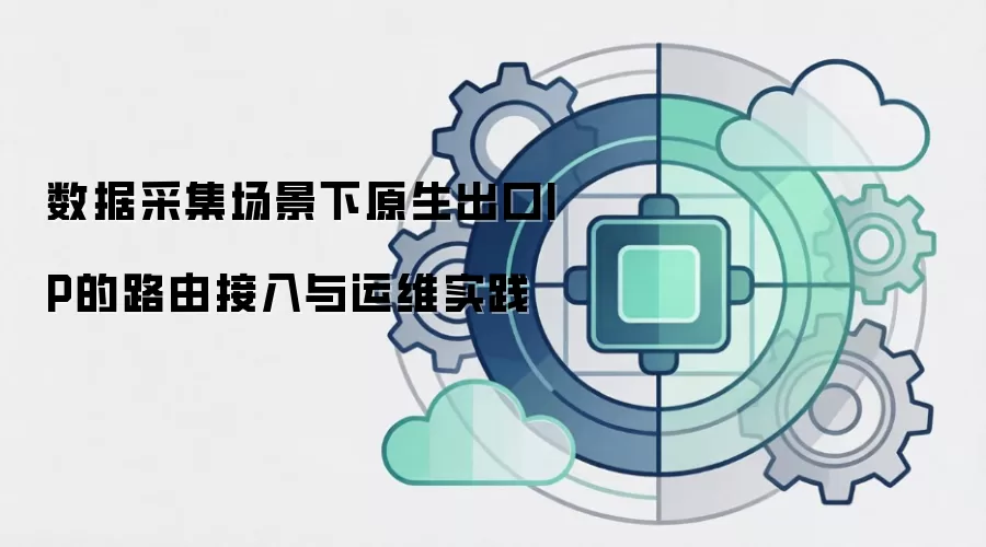 数据采集场景下原生出口IP的路由接入与运维实践