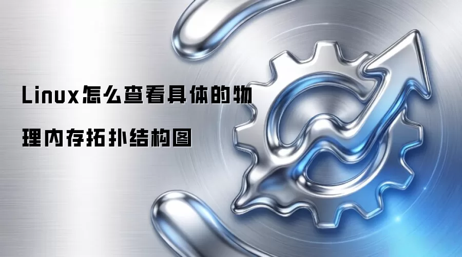 Linux怎么查看具体的物理内存拓扑结构图
