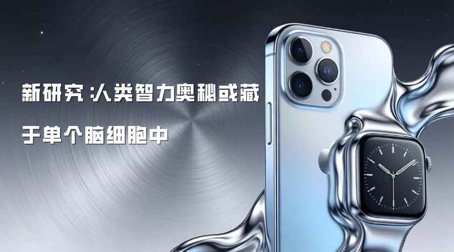 新研究:人类智力奥秘或藏于单个脑细胞中