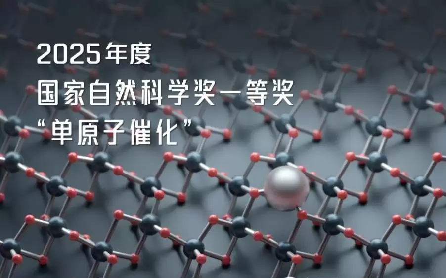获国家自然科学奖的“单原子催化”成果如何赋能吃穿住行？