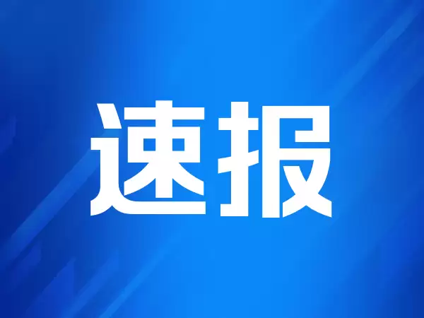 活力中国调研行｜895孵化器，孵化器里的“985”（上海科创“一公里”）