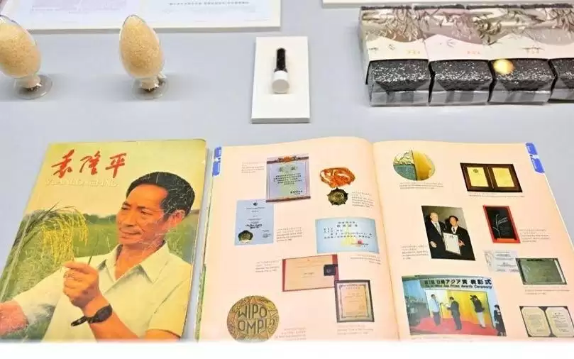 未来科学论坛上海启幕，部分科学家珍贵手稿与实物首次展出