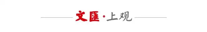 外网热议：中国此举超越了西方同行