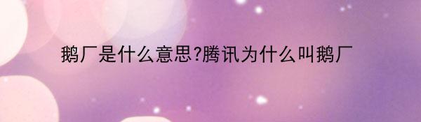 鹅厂是什么梗
