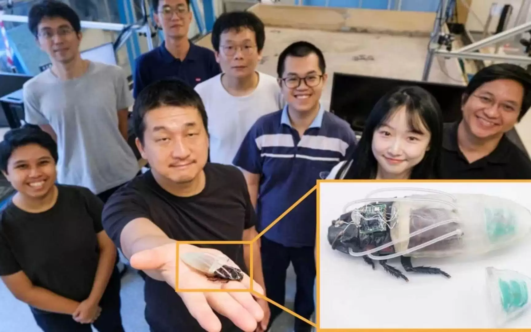 洪水凶猛，突破陆地限制！蟑螂穿上3D打印“潜水服”，有望助力灾后搜救