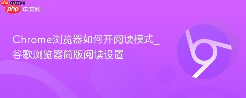 Chrome浏览器如何开阅读模式_谷歌浏览器简版阅读设置