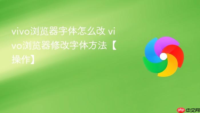 vivo浏览器字体怎么改 vivo浏览器修改字体方法【操作】
