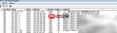 RIP数据报捕获方法