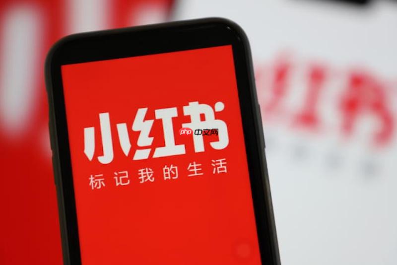 小红书vivo状态栏怎么设置_小红书vivo手机状态栏显示设置【教程】