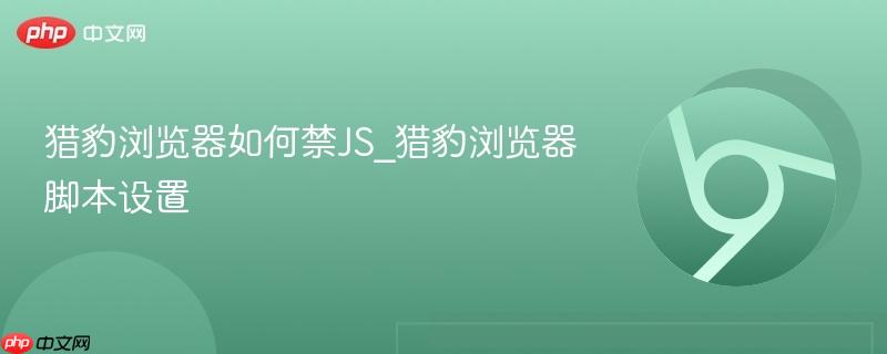 猎豹浏览器如何禁JS_猎豹浏览器脚本设置