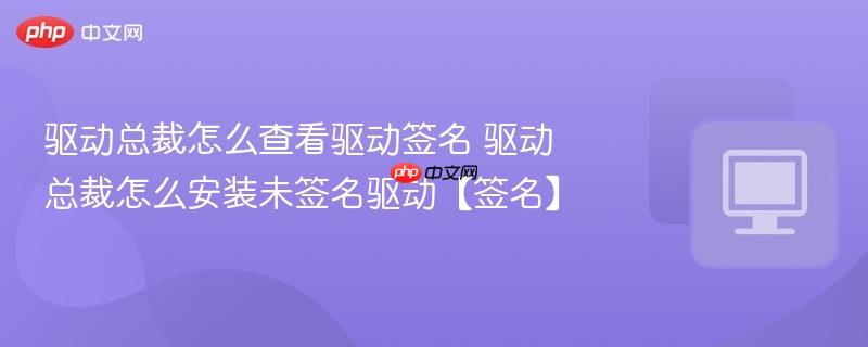 驱动总裁怎么查看驱动签名 驱动总裁怎么安装未签名驱动【签名】