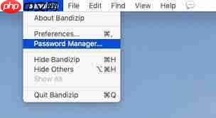 Bandizip怎么给密码管理器设置主密码