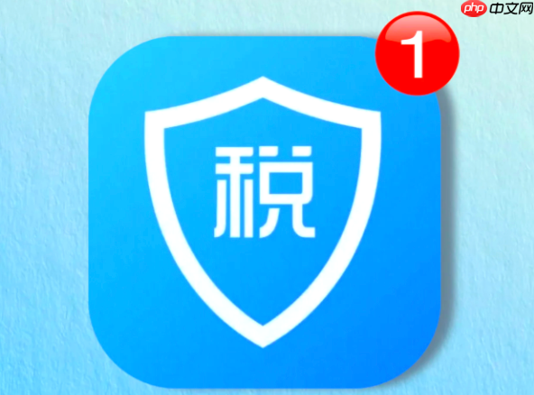 申报个税怎么申报