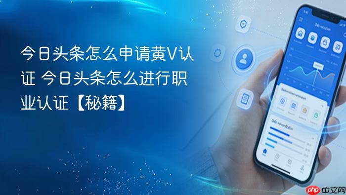 今日头条怎么申请黄V认证 今日头条怎么进行职业认证【秘籍】