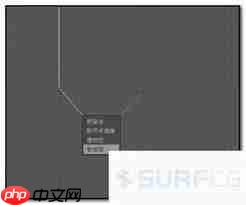 C4D如何把样条线转为实体模型