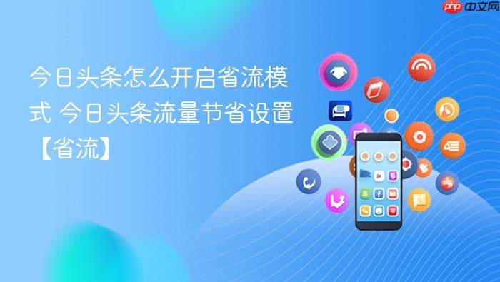 今日头条怎么开启省流模式