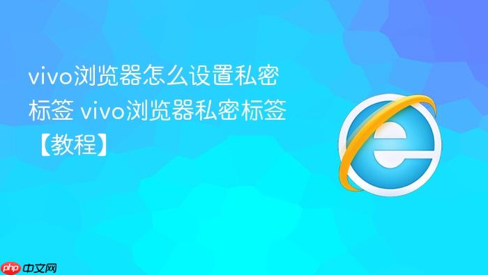 vivo浏览器怎么设置私密标签 vivo浏览器私密标签【教程】