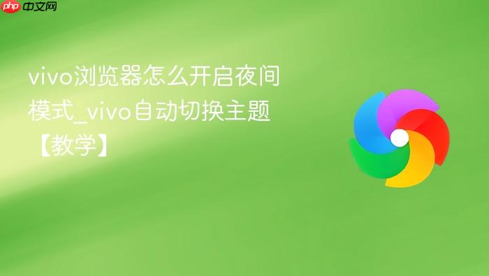 vivo浏览器怎么开启夜间模式_vivo自动切换主题【教学】