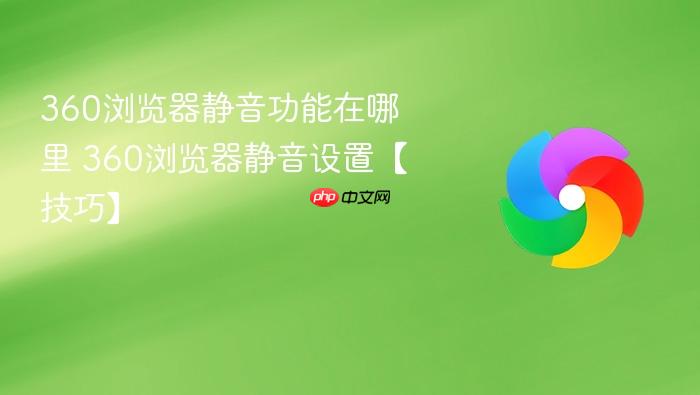 360浏览器静音功能在哪里