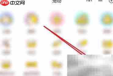 狗狗口臭怎么办？5招轻松解决