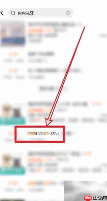 狗狗口臭怎么办?5招轻松解决