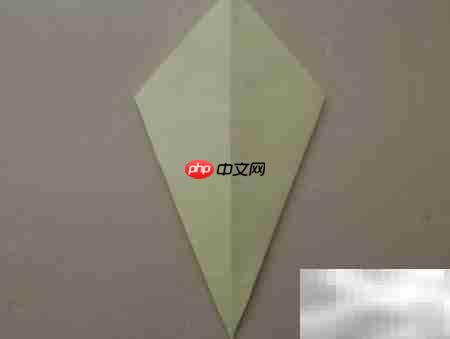 手工折纸小鸡教程
