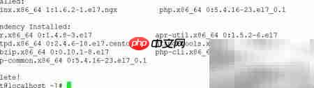 Linux搭建专属WordPress博客