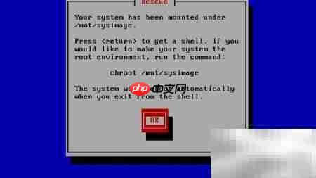 CentOS 6.5救援模式使用指南