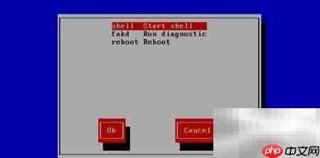 CentOS 6.5救援模式使用指南